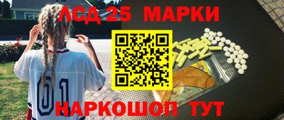 гашик Берёзовский