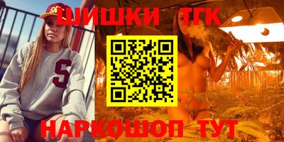 гашик Берёзовский