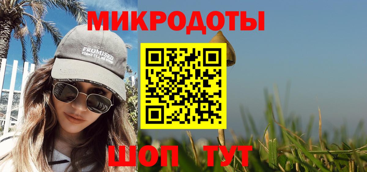 Псилоцибиновые грибы Cubensis Касимов