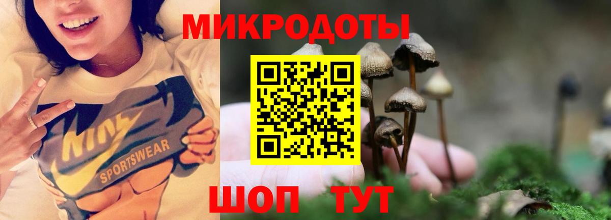 Галлюциногенные грибы прущие грибы  Вход с VPN  Касимов  Псилоцибиновые грибы GOLDEN TEACHER 